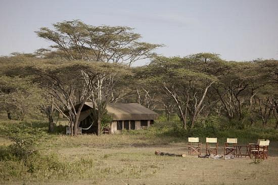 Alex Walker Serian Serengeti