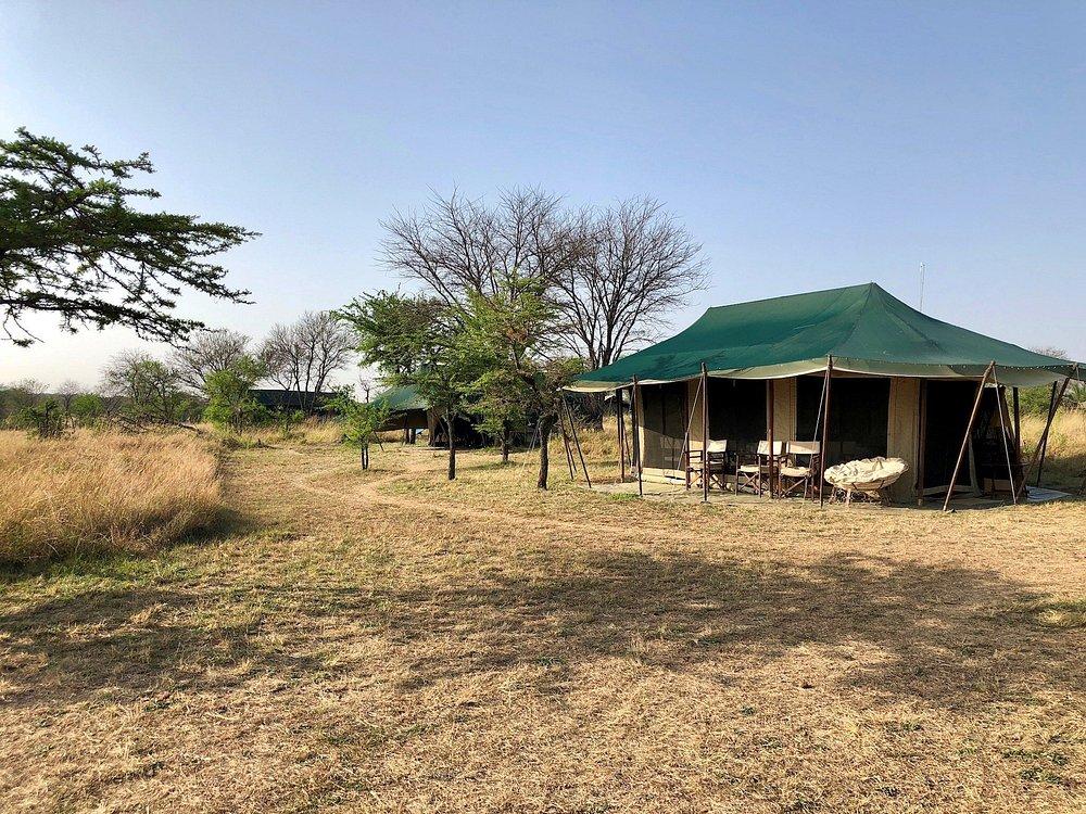 Alex Walker Serian Serengeti