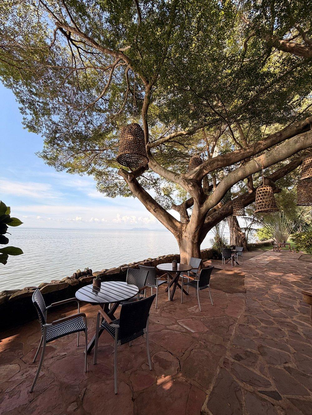 Speke Bay Lodge