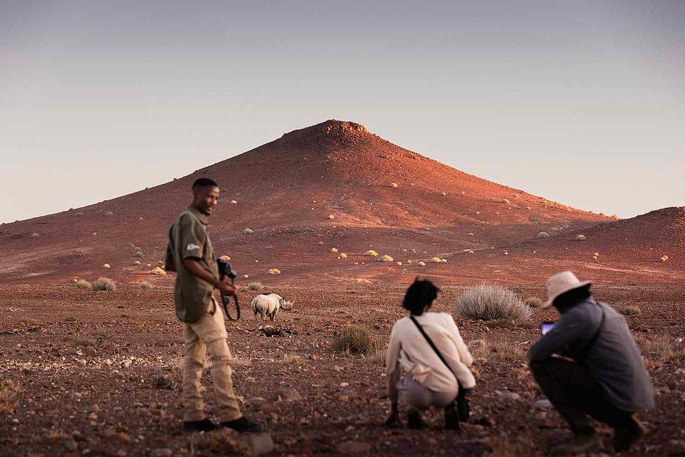 Desert Rhino Camp