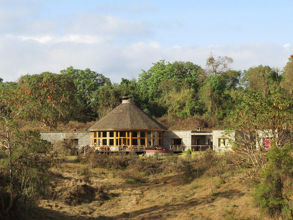 Bale Mountain Lodge