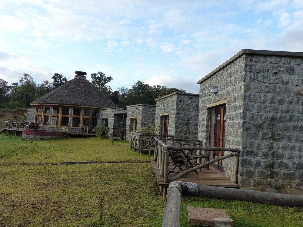 Bale Mountain Lodge
