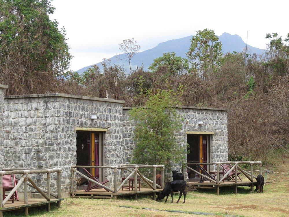 Bale Mountain Lodge