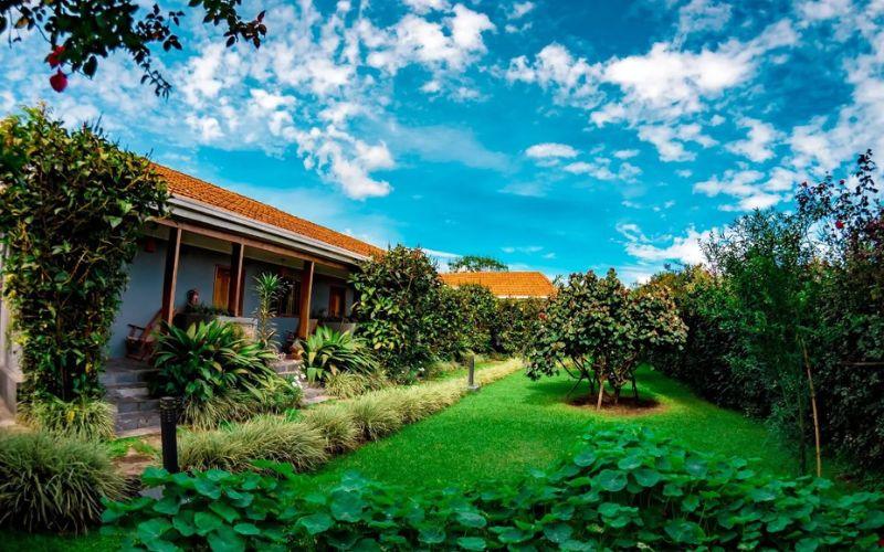 Tiloreza Eco Lodge