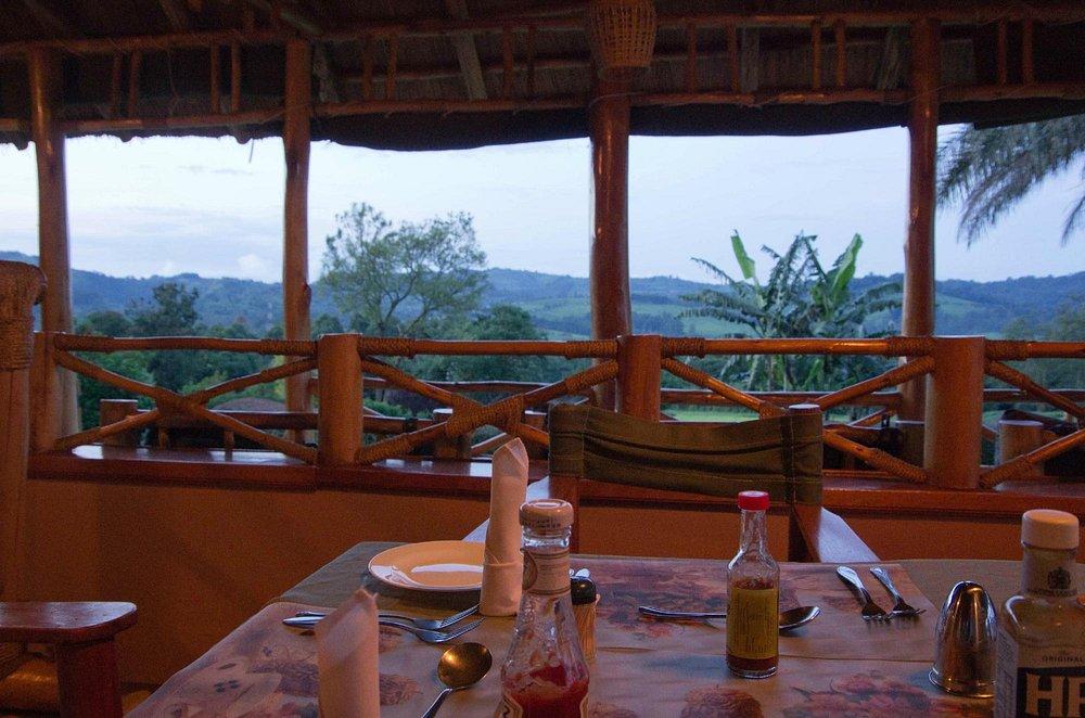 Chimpanzee Lodge