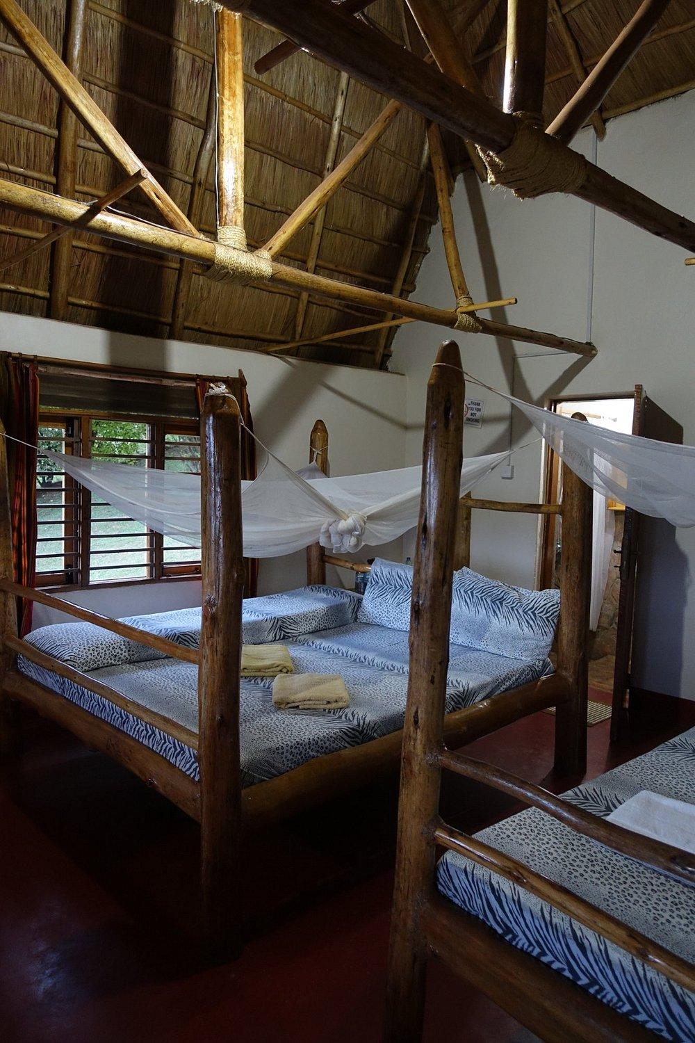 Chimpanzee Lodge