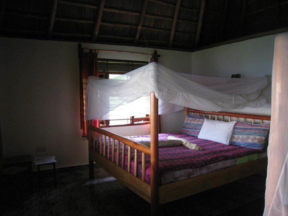 Chimpanzee Lodge