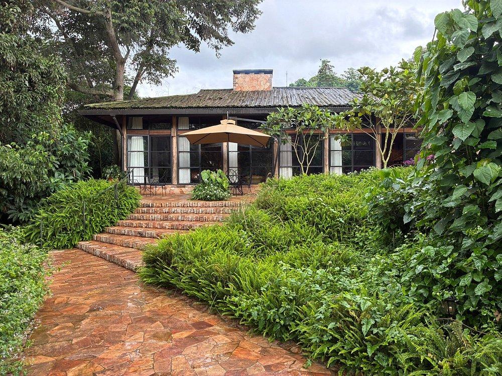 Entebbe Forest Lodge