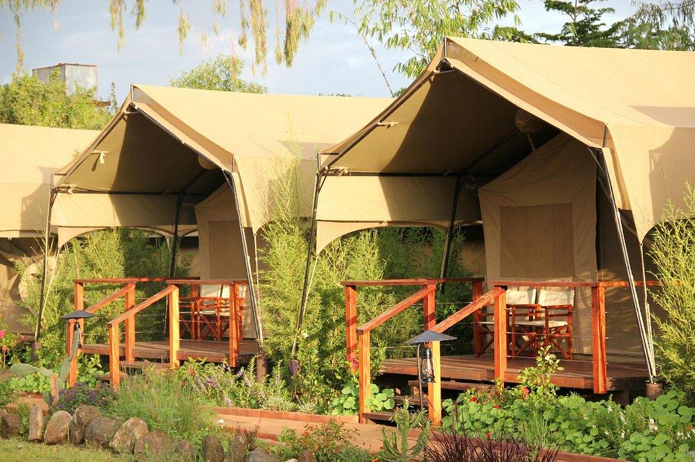 Wildebeest Eco Camp