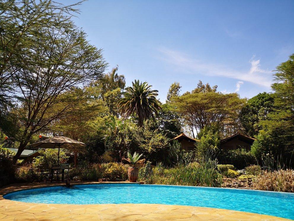 Wildebeest Eco Camp