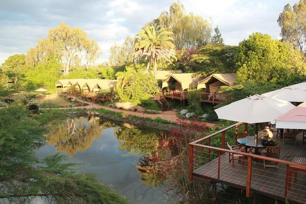 Wildebeest Eco Camp