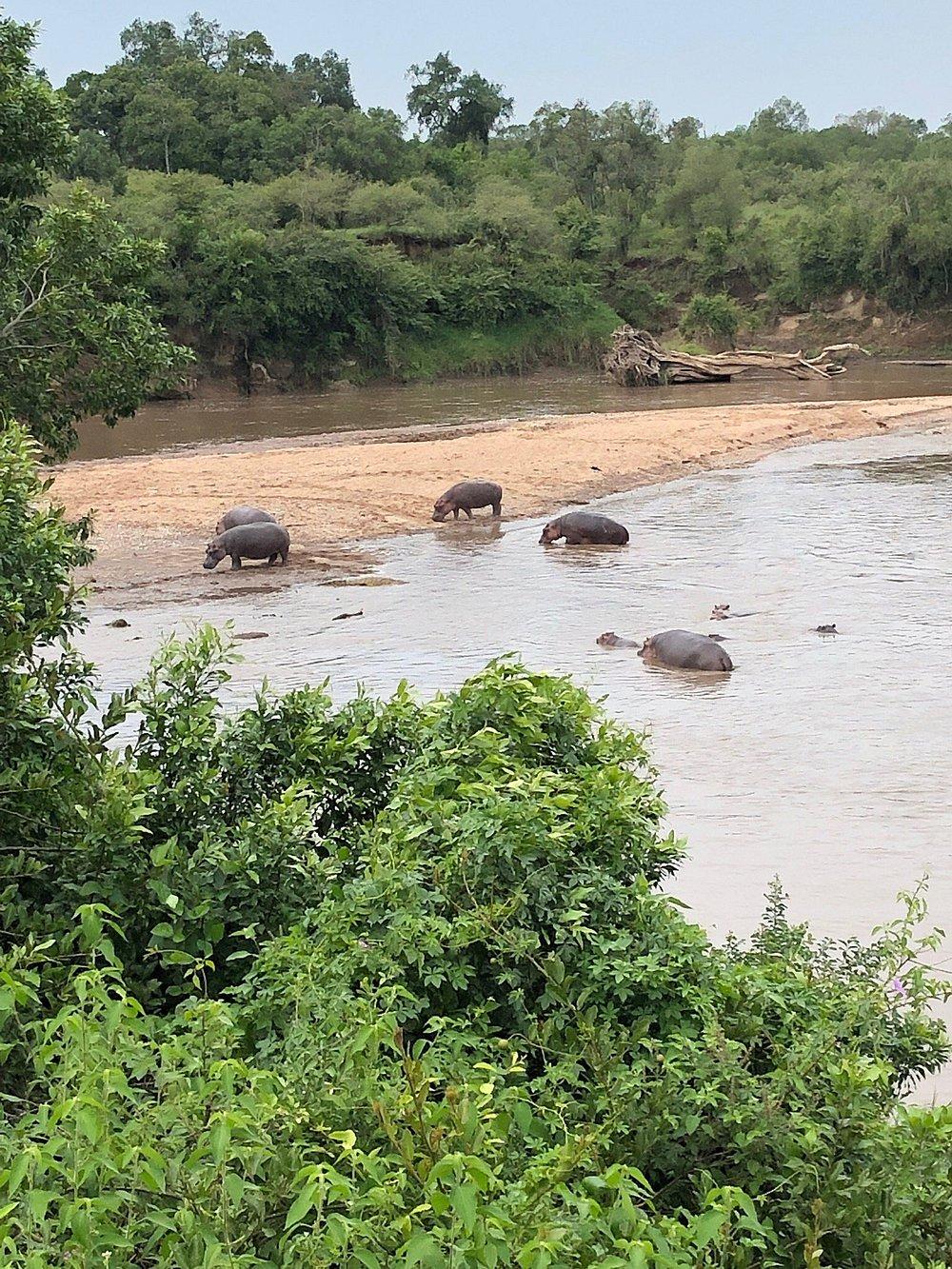 Mara Ngenche Safari Camp