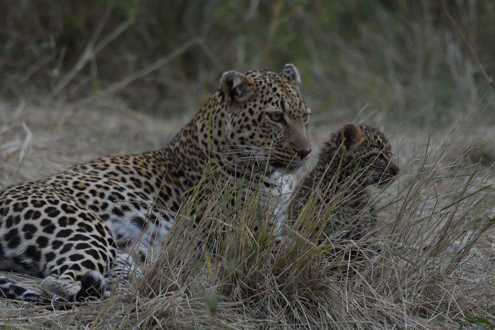 Entumoto Safari Camp