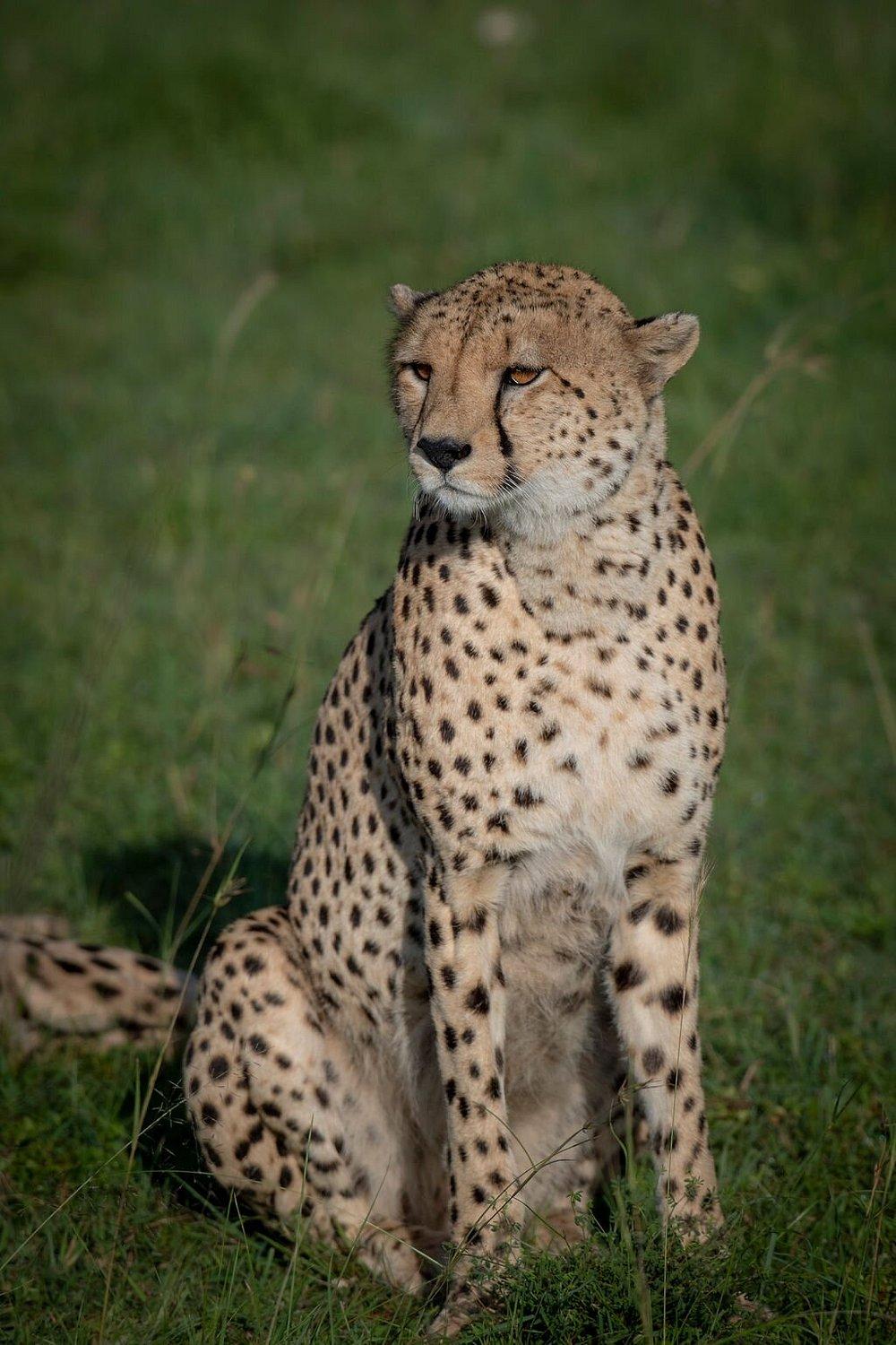 Entumoto Safari Camp
