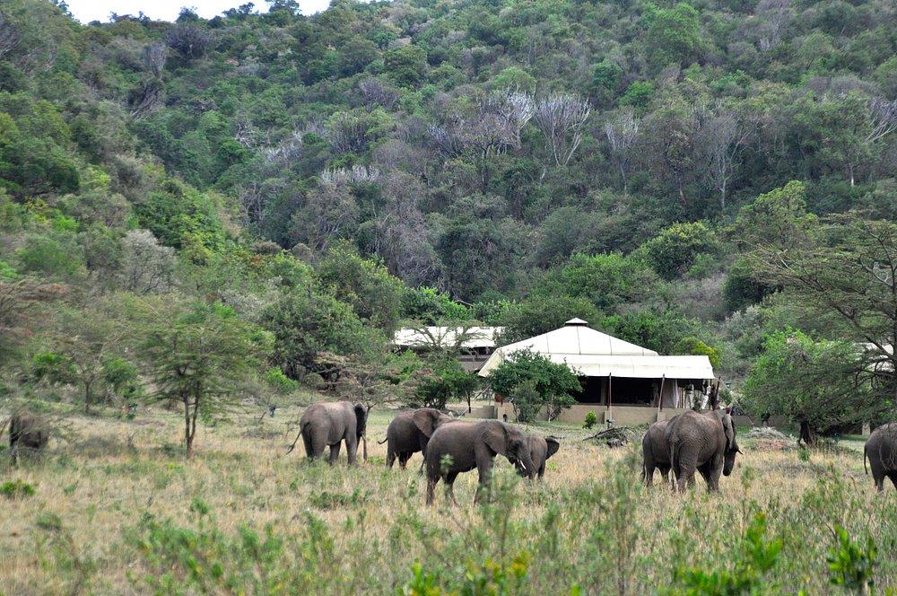 Entumoto Safari Camp