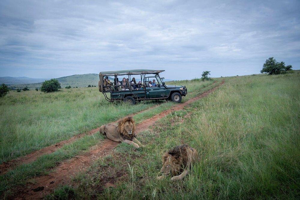 Entumoto Safari Camp