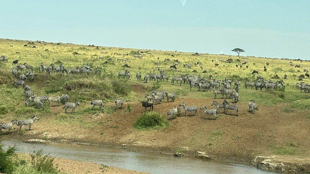 Enkorok Mara Camp