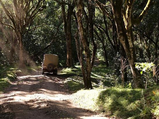 Hatari Lodge