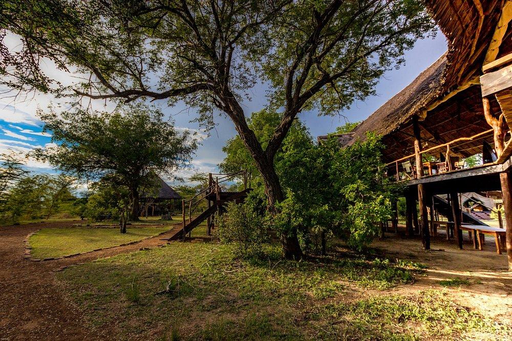 Selous Impala Camp