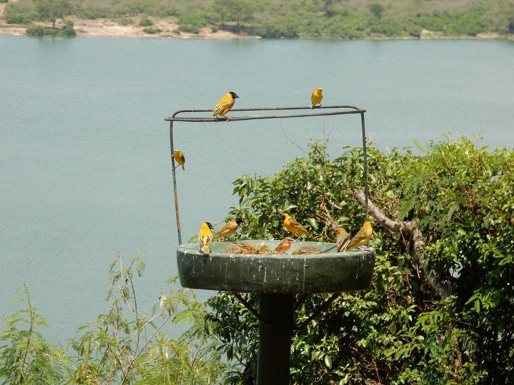 Mweya Safari Lodge