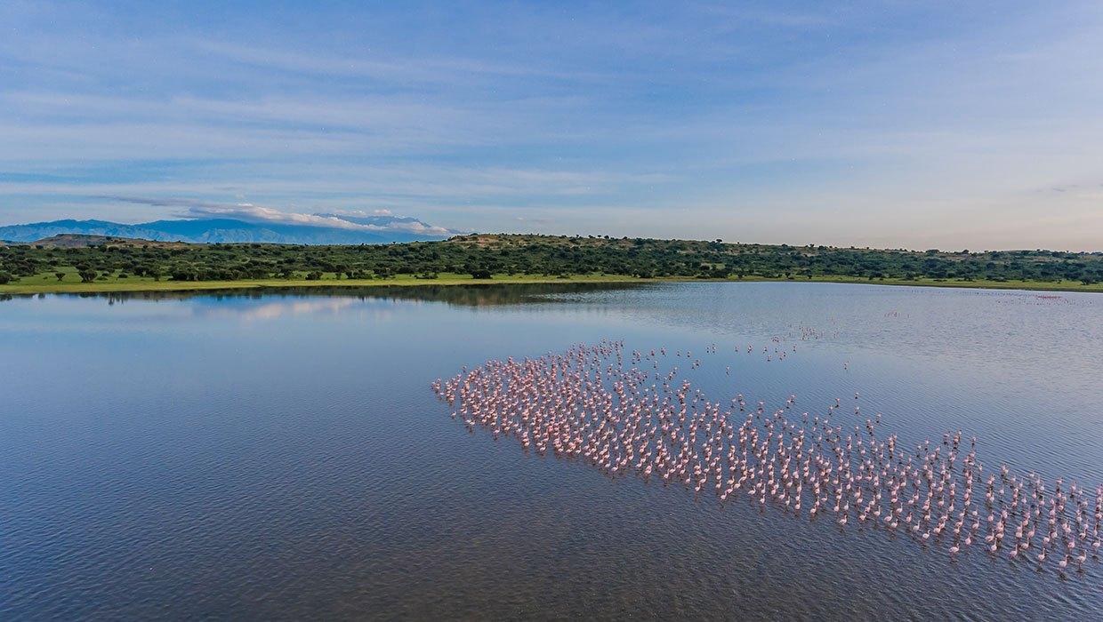 Mweya Safari Lodge