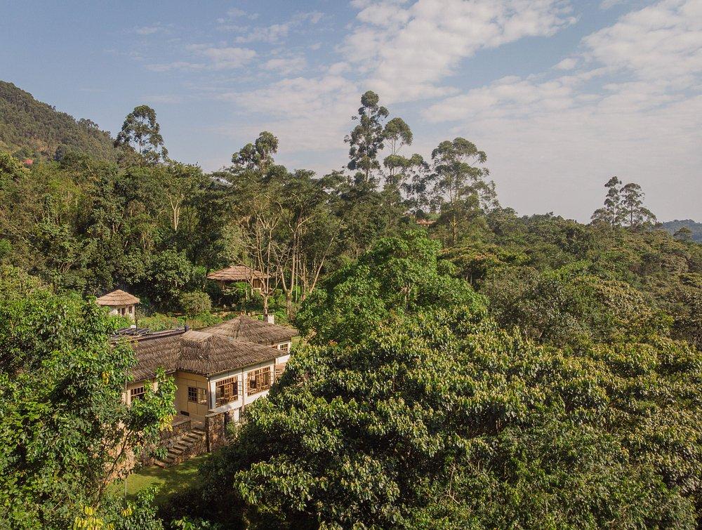 Bwindi Lodge