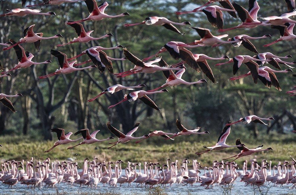 The Cliff Lake Nakuru