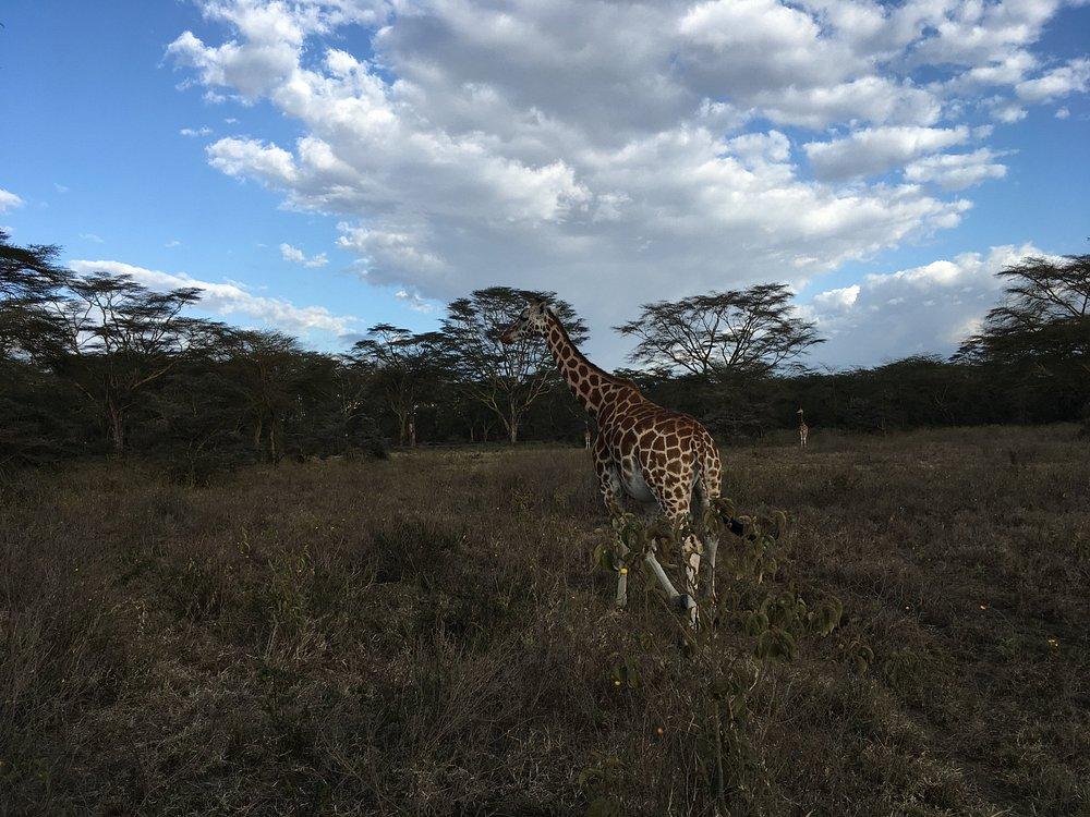 The Cliff Lake Nakuru