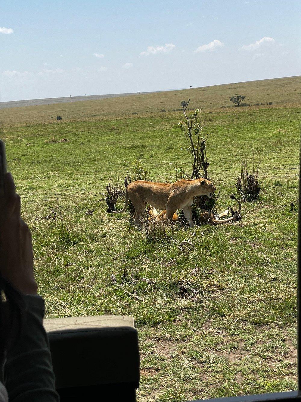 Lerai Safari Camp