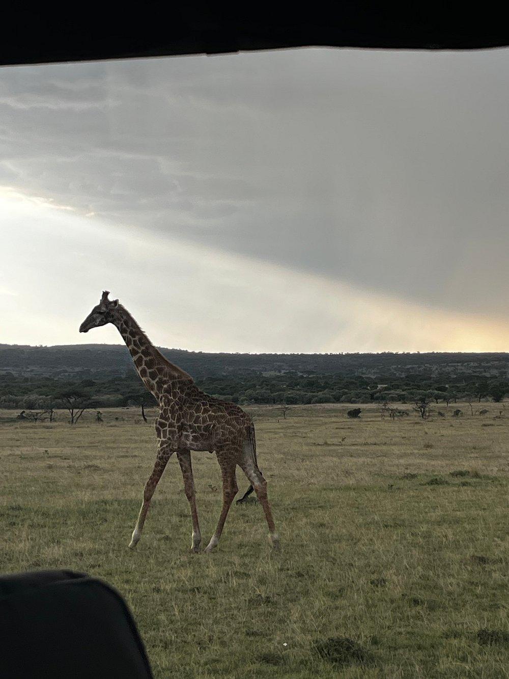 Lerai Safari Camp