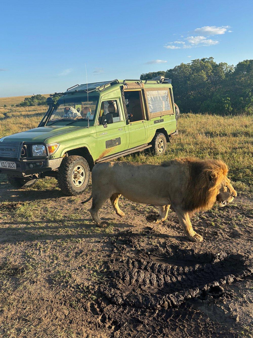 Lerai Safari Camp