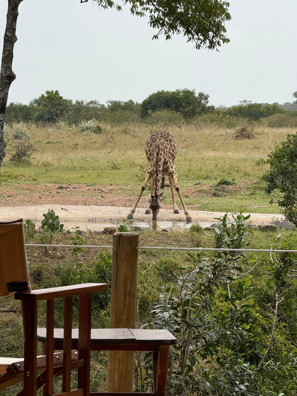 Lerai Safari Camp