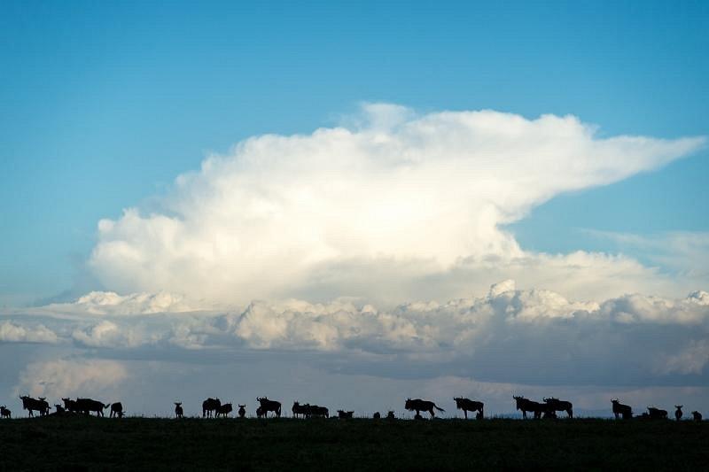 Serengeti Sametu Camp