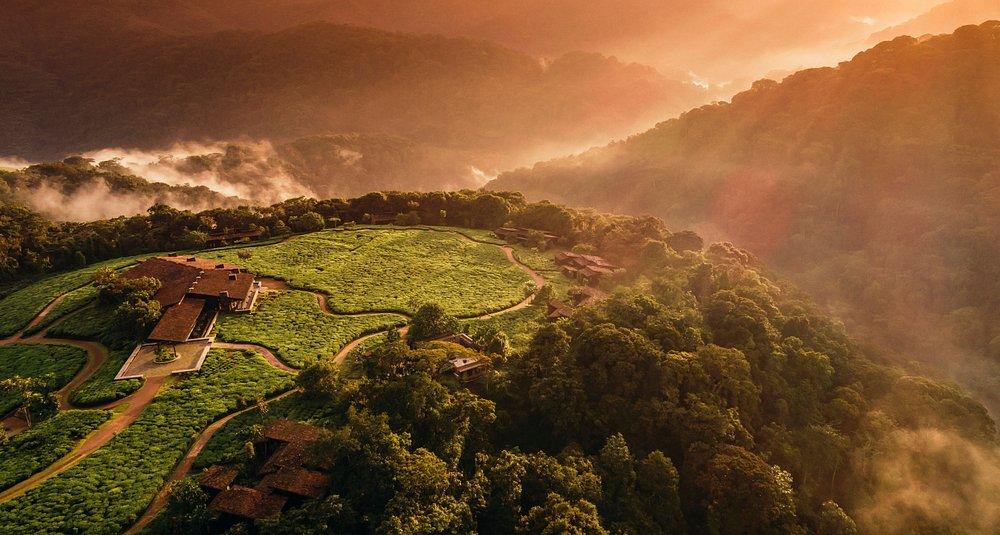 One&Only Nyungwe House
