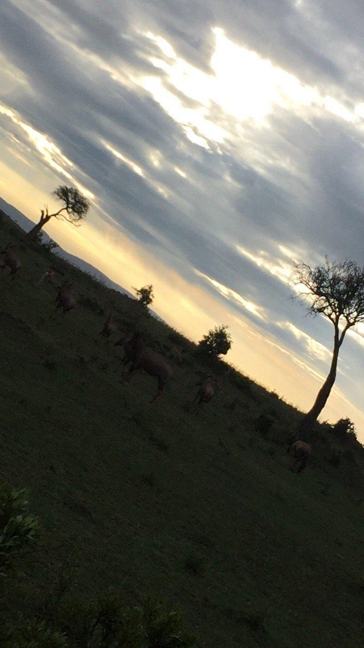 Jambo Mara Safari Lodge