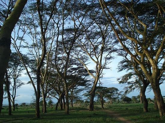 Maji Moto Cultural Camp