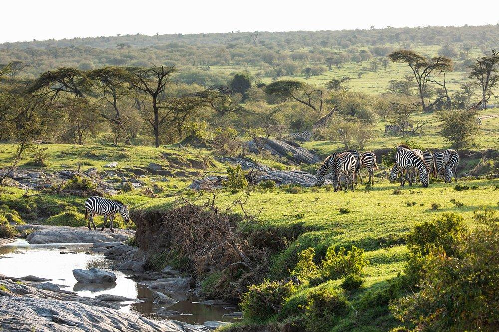 Mara Toto Tree Camp