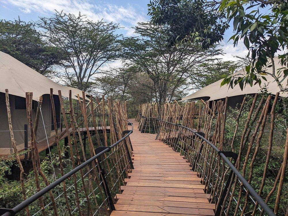 Mara Toto Tree Camp