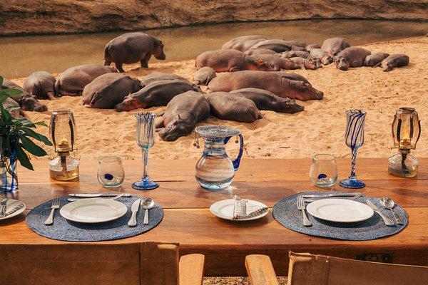 Olengoti Eco Safari Camp