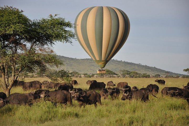 Olengoti Eco Safari Camp