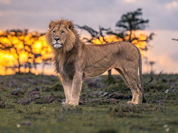 Encounter Mara