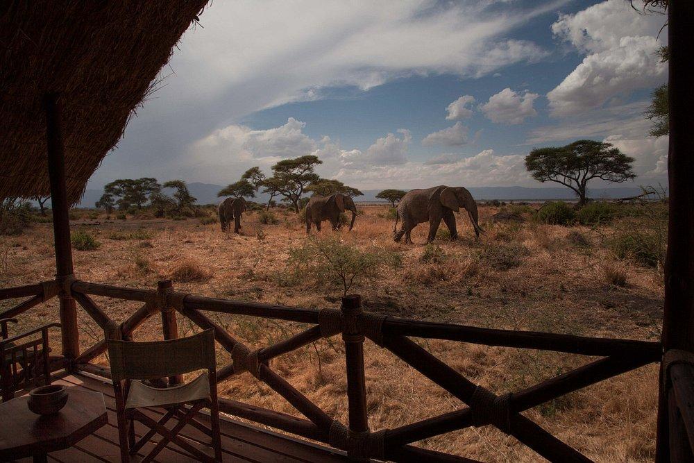 Tarangire Simba Lodge
