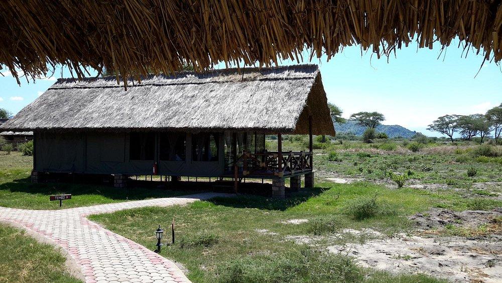 Tarangire Simba Lodge