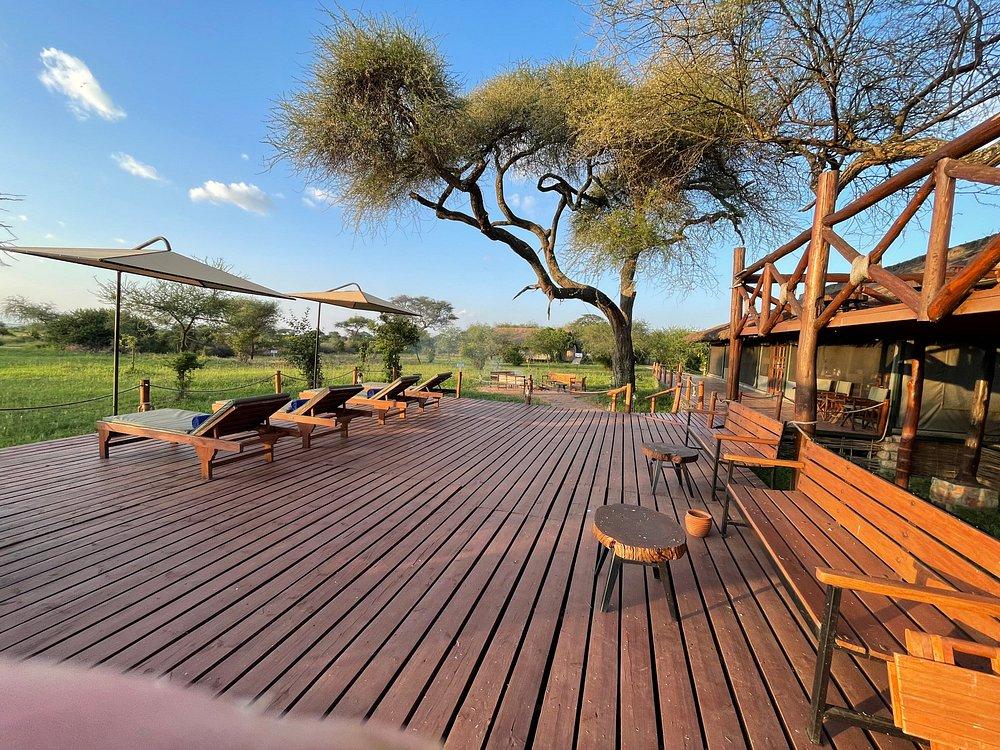 Tarangire Simba Lodge