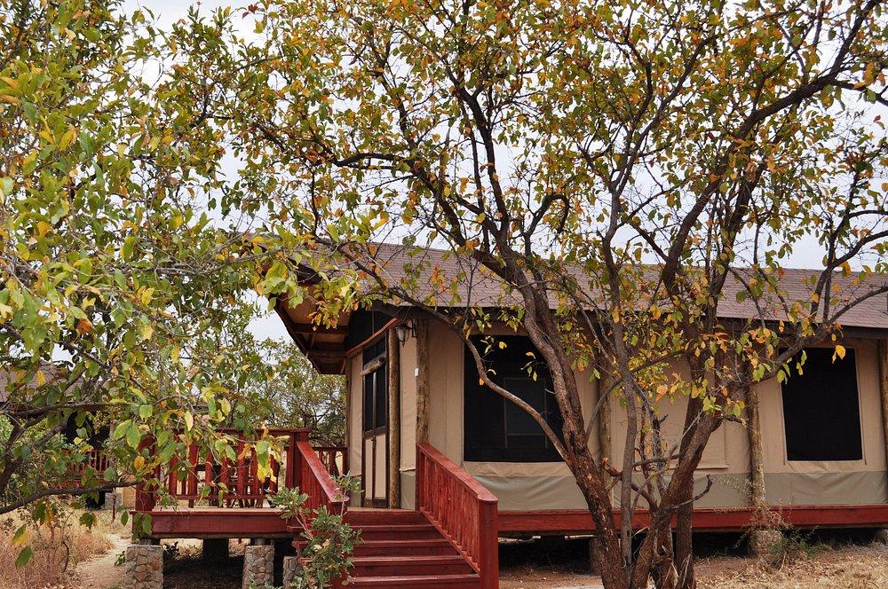 Elephant Rock Camp