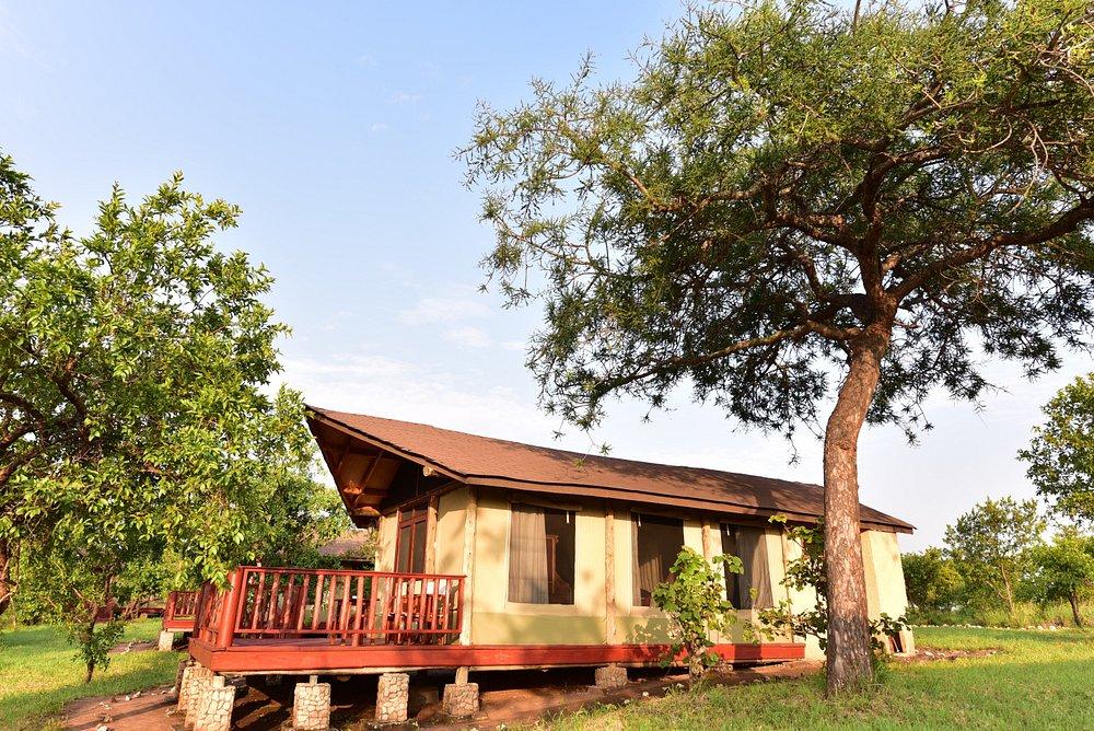 Elephant Rock Camp
