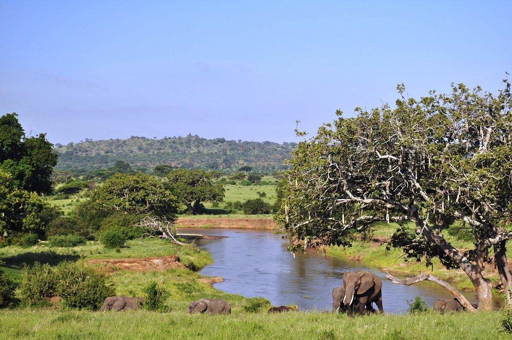 Elephant Rock Camp