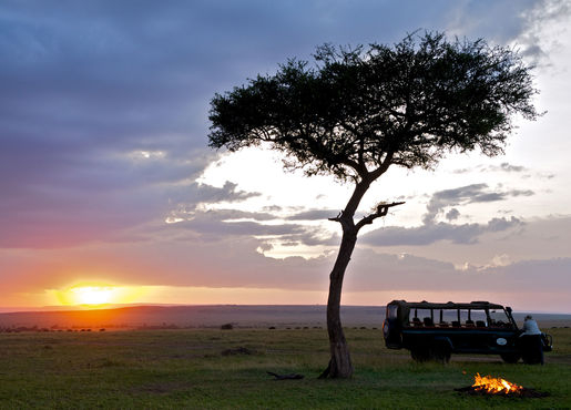 Mara Intrepids Camp
