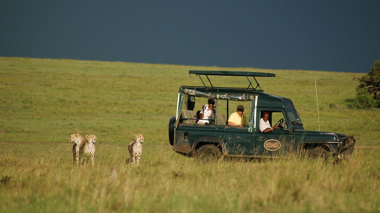 Mara Intrepids Camp