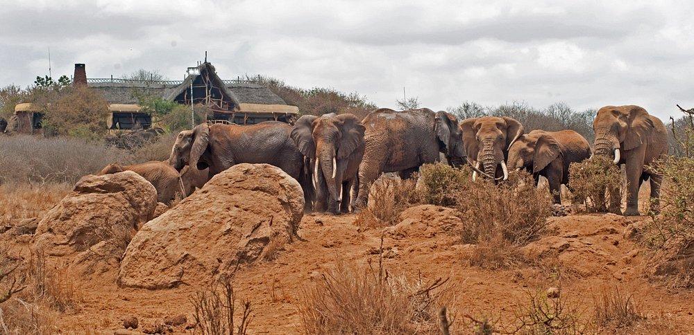 Satao Elerai Camp